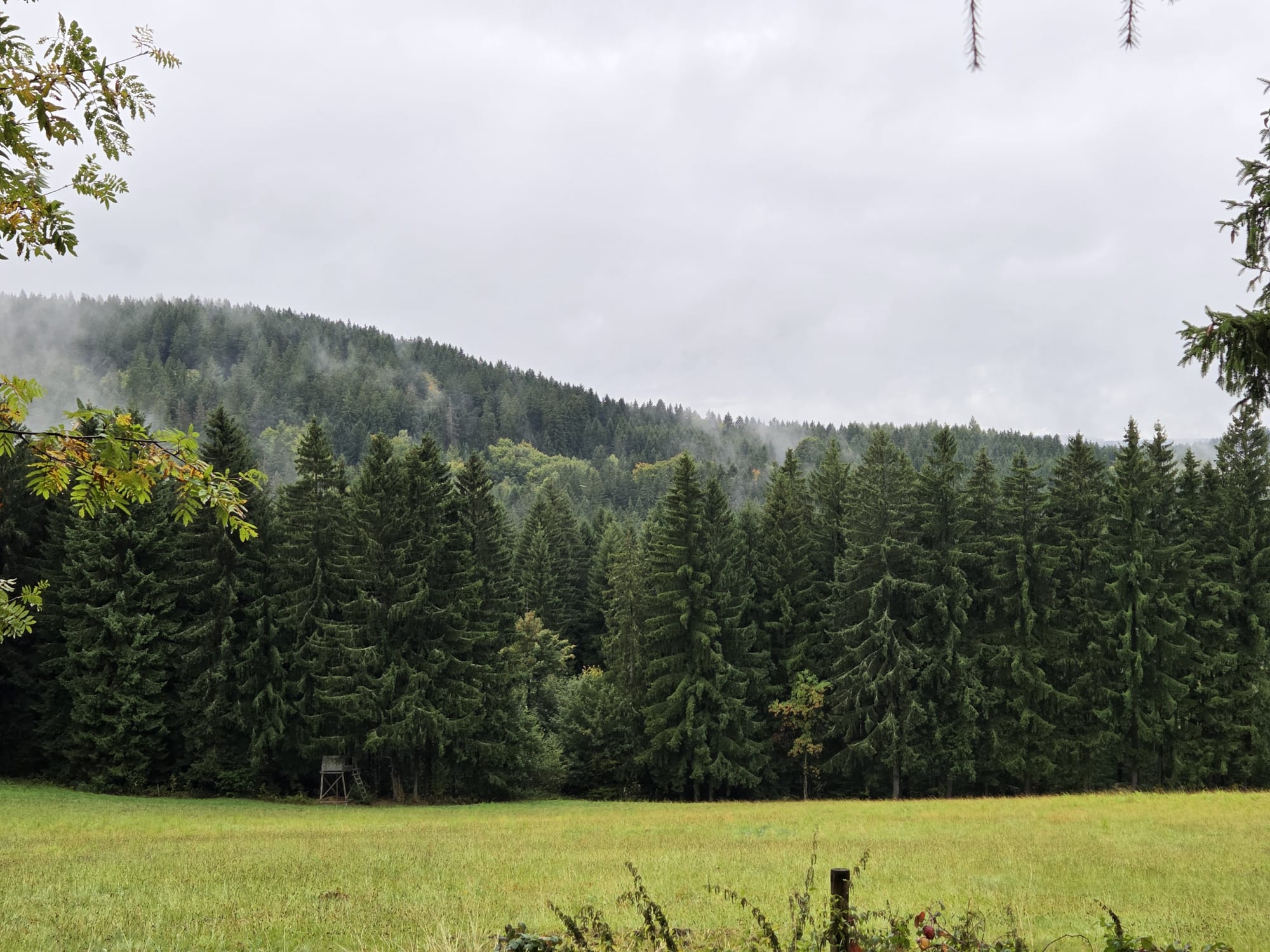 26-09-07-NW Erzgebirge