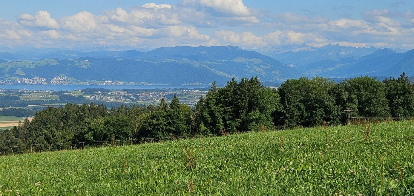 26-08-13-NW Oberwil-Lieli