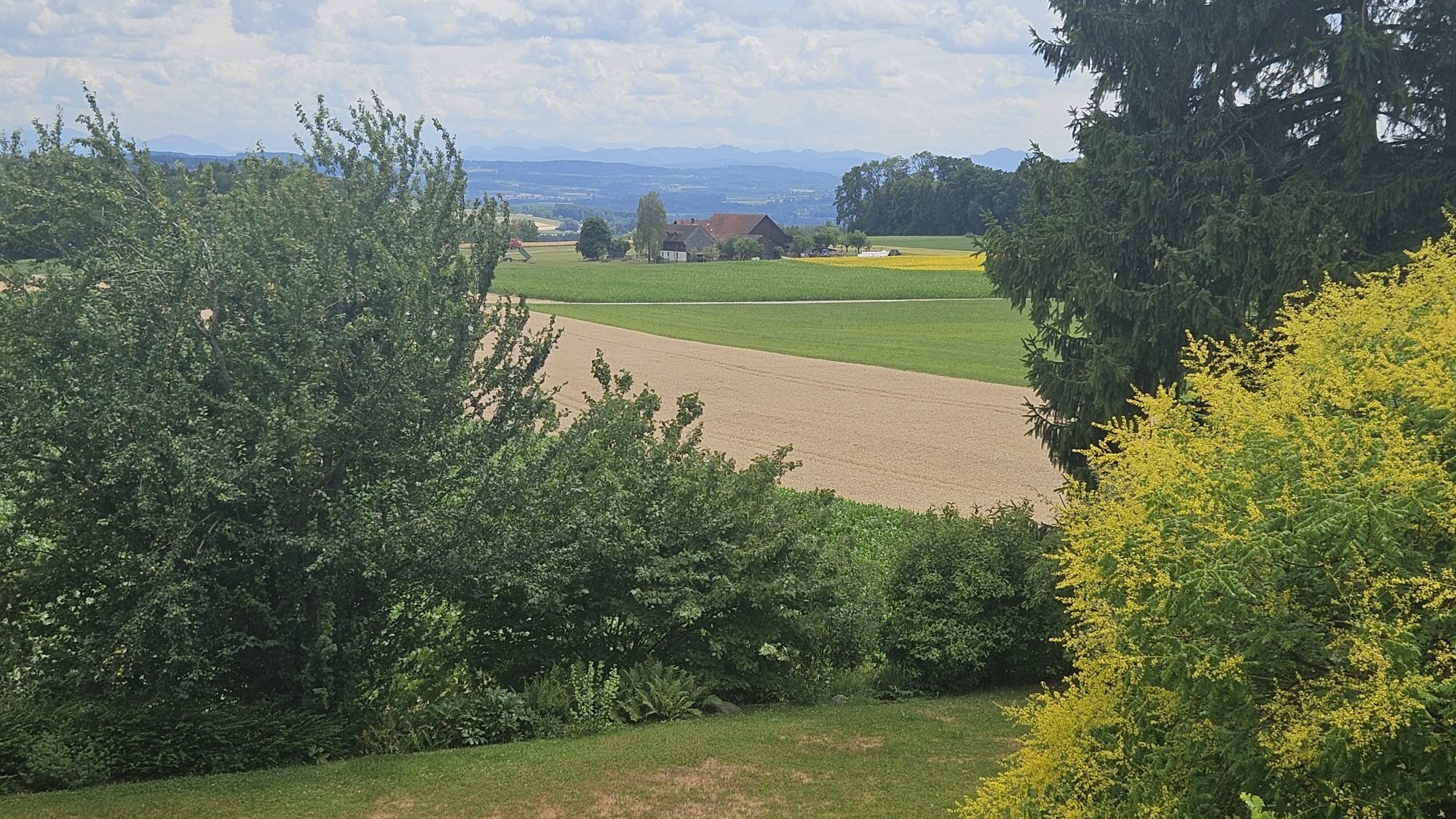 26-08-16-Dein Haus