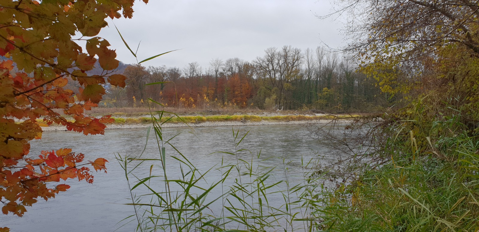 26-11-05-Vogelsang
